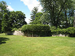 hornbeam stilt hedge outside wall at dining alcove